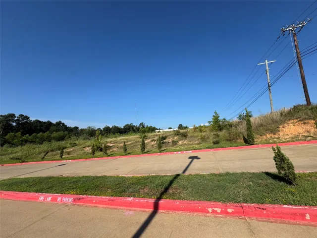 Palestine, TX 75801