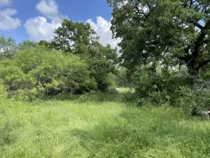 Chico, TX 76431