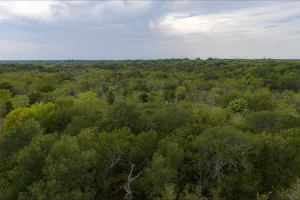 Wills Point, TX 75169