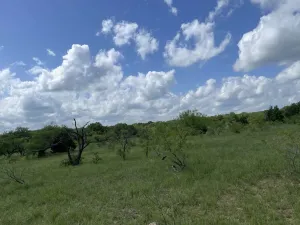 Chico, TX 76431