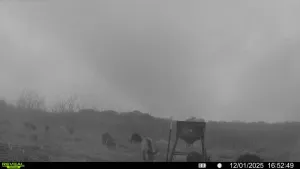 Dawson, TX 76639