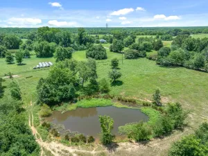 Edgewood, TX 75117