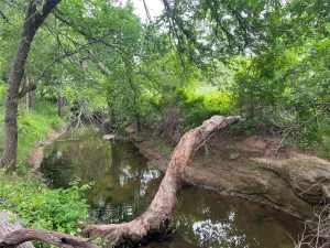 Bellevue, TX 76228