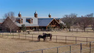 Hickory Creek, TX 75065