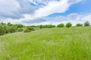 Weatherford, TX 76085