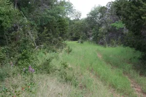 Strawn, TX 76475