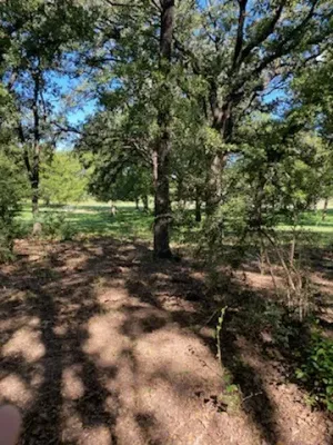 Fort Worth, TX 76120