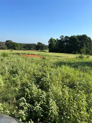 Tyler, TX 75706