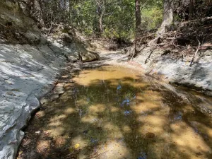 Cedar Hill, TX 75104