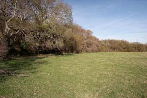 Princeton, TX 75047
