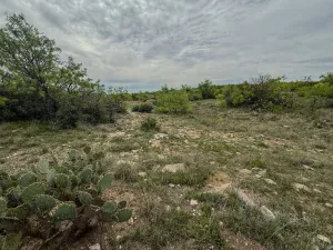 Voss, TX 76888