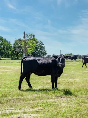Flower Mound, TX 75022