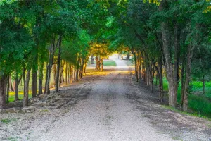 Valley Mills, TX 76689