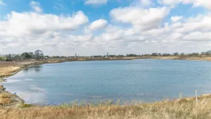 Greenville, TX 75401