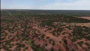 Childress, TX 70201