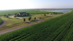 Blossom, TX 75416
