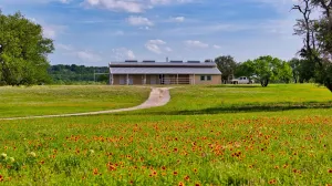 Coleman, TX 76834