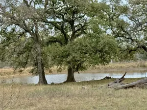 Hico, TX 76457