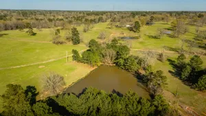 Gladewater, TX 75647