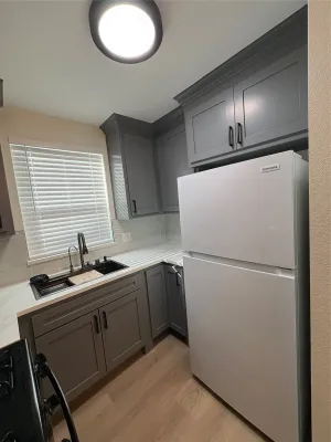 Dallas, TX 75215