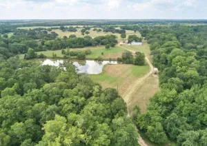 Rockdale, TX 76567