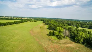 Paris, TX 75462