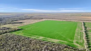 Gunter, TX 75058