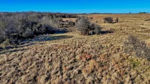 Petrolia, TX 76377