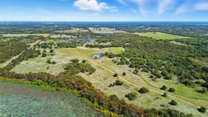 Lone Oak, TX 75453