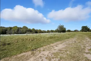 Lone Oak, TX 75453