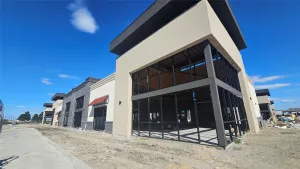 Frisco, TX 75035