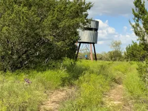 Carlton, TX 76436