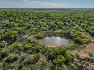 Voss, TX 76888