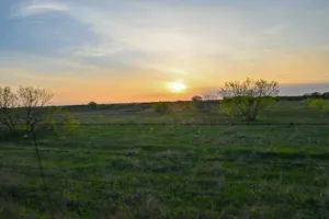 Decatur, TX 76234