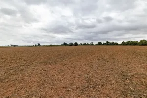Marlin, TX 76661