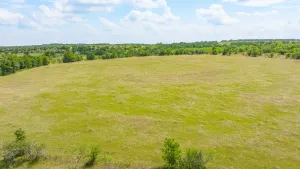 Carlton, TX 76436