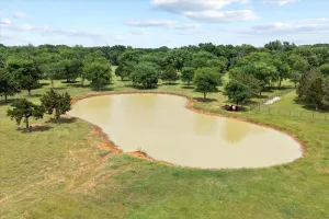Pilot Point, TX 76258