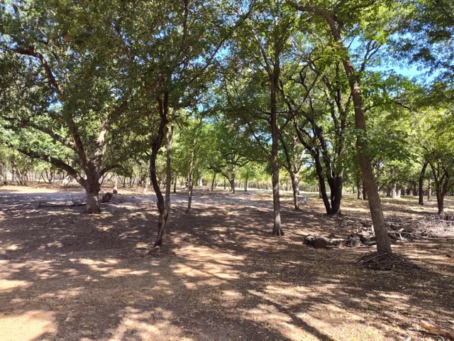 Aledo, TX 76008
