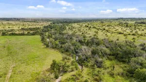 Hamilton, TX 76531
