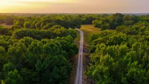 Sulphur Springs, TX 75482
