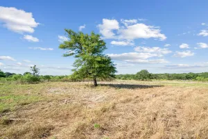 Tolar, TX 76476