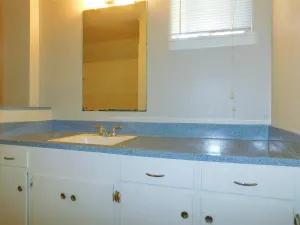 Lake Dallas, TX 75065