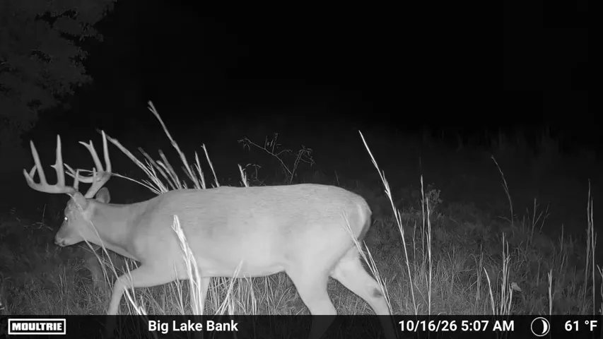 Itasca, TX 76055