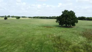 Pilot Point, TX 76258