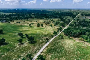 Mexia, TX 76667