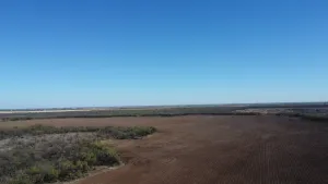 Abilene, TX 79601