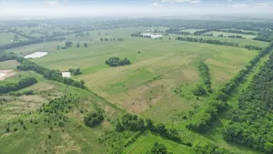 Honey Grove, TX 75446