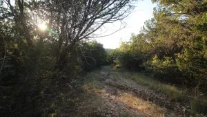 Abilene, TX 79602