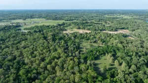 Athens, TX 75751