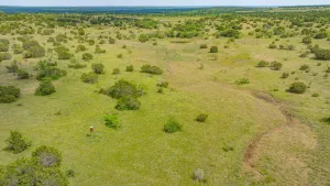 Carlton, TX 76436